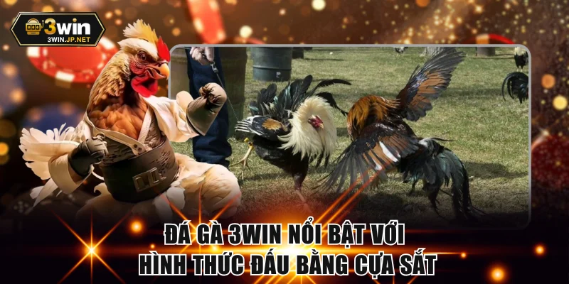 Đá gà 3WIN nổi bật với hình thức đấu bằng cựa sắt