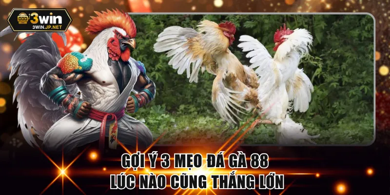 Gợi ý 3 mẹo đá gà 88 lúc nào cũng thắng lớn