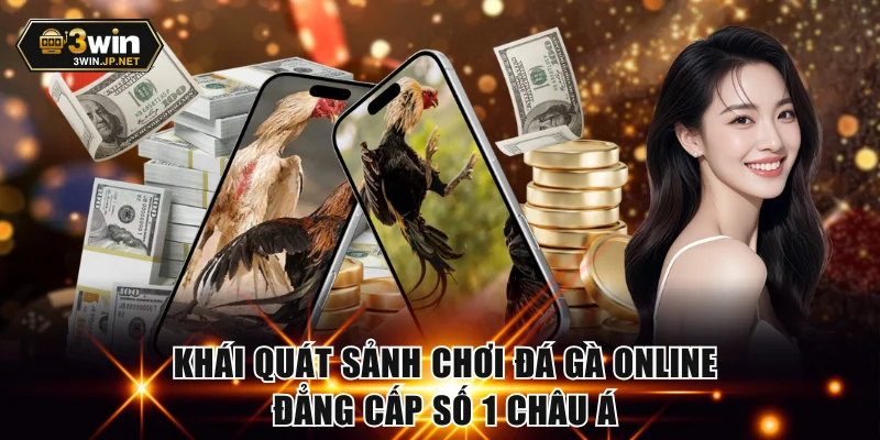 Khái quát sảnh chơi đá gà online đẳng cấp