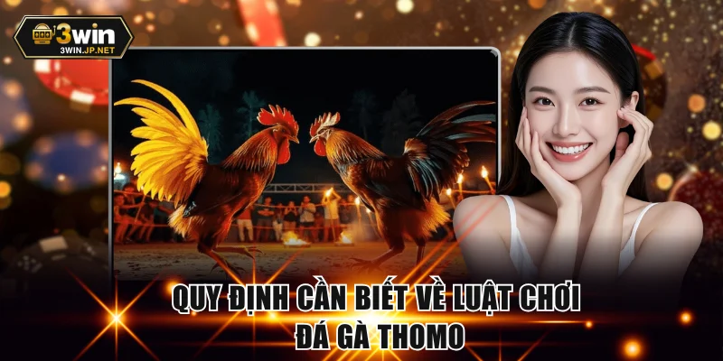 Quy định cần biết về luật chơi đá gà Thomo