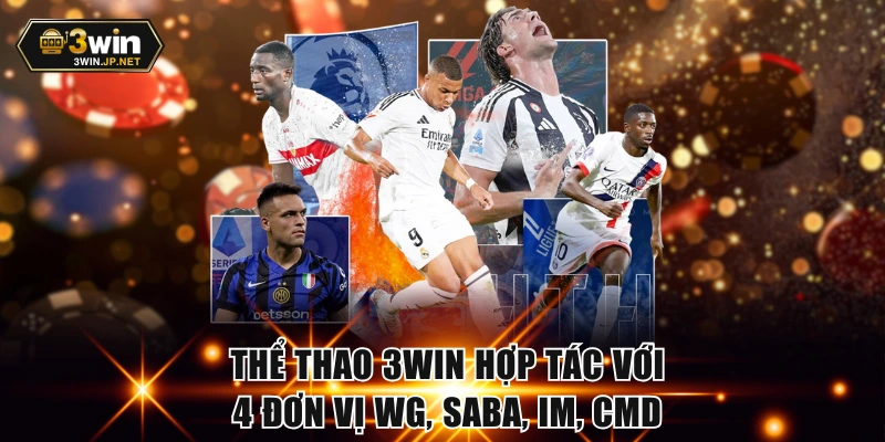 Thể thao 3WIN hợp tác với 4 đơn vị WG, SABA, IM, CMD