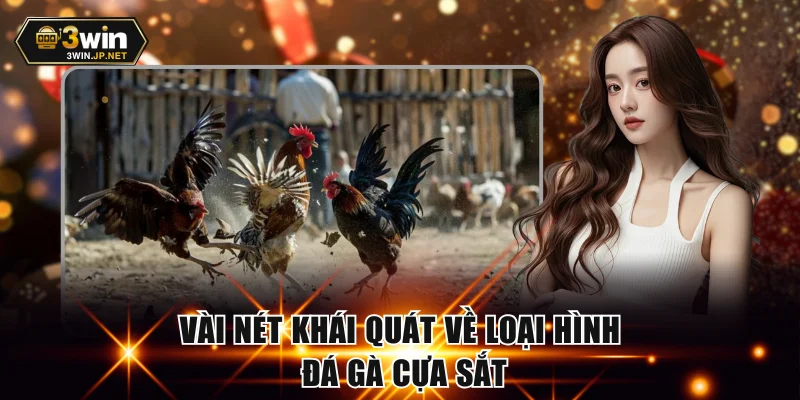 Vài nét khái quát về loại hình đá gà cựa sắt